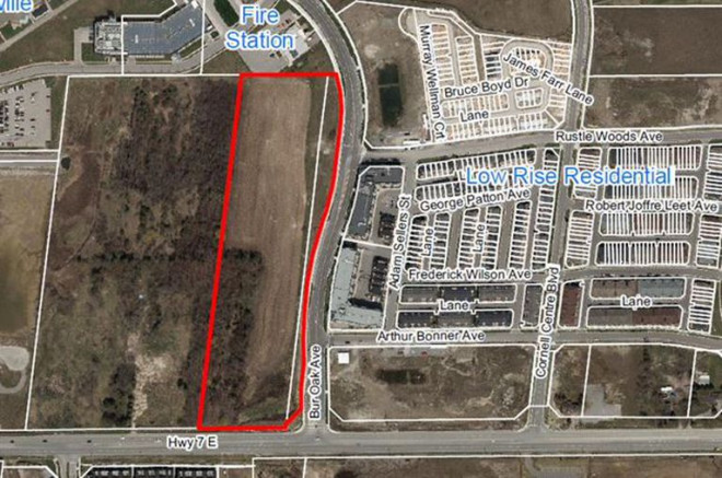 Bur Oak development