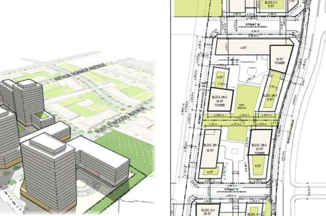 Bur Oak development