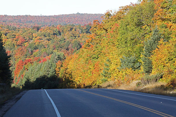 At km 16 of Highway 60 in Algonquin Park on September 29, 2022.