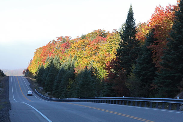 At km 26 of Highway 60 in Algonquin Park on September 29, 2022
