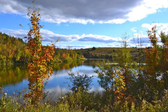 Forks of the credit provincial park - Forks of the Credit, Caledon  Traveller Reviews - Tripadvisor