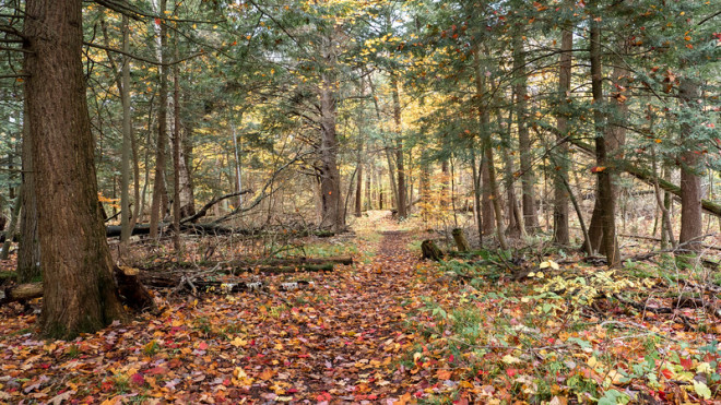 Presqu'ile Provincial Park Hiking Trails