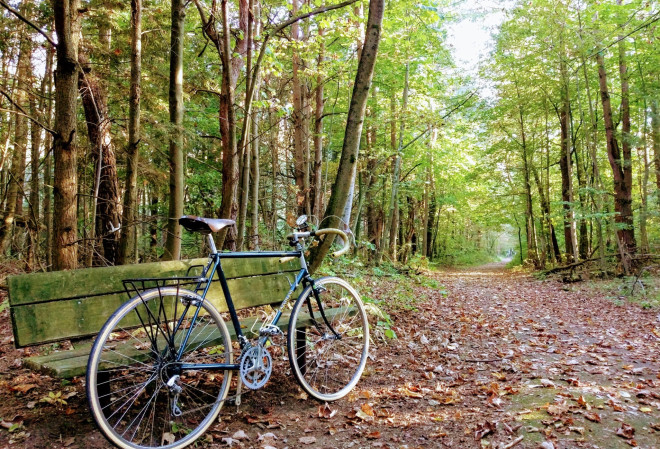 First day of fall in Presqu'ile Provincial Park in Brighton, ON : r/canada