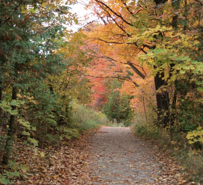 Cliff Top Side Trail (Bruce Trail), Ontario | Mapio.net